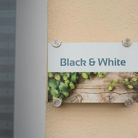 Black & White *